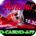 br336 Pro Casino App